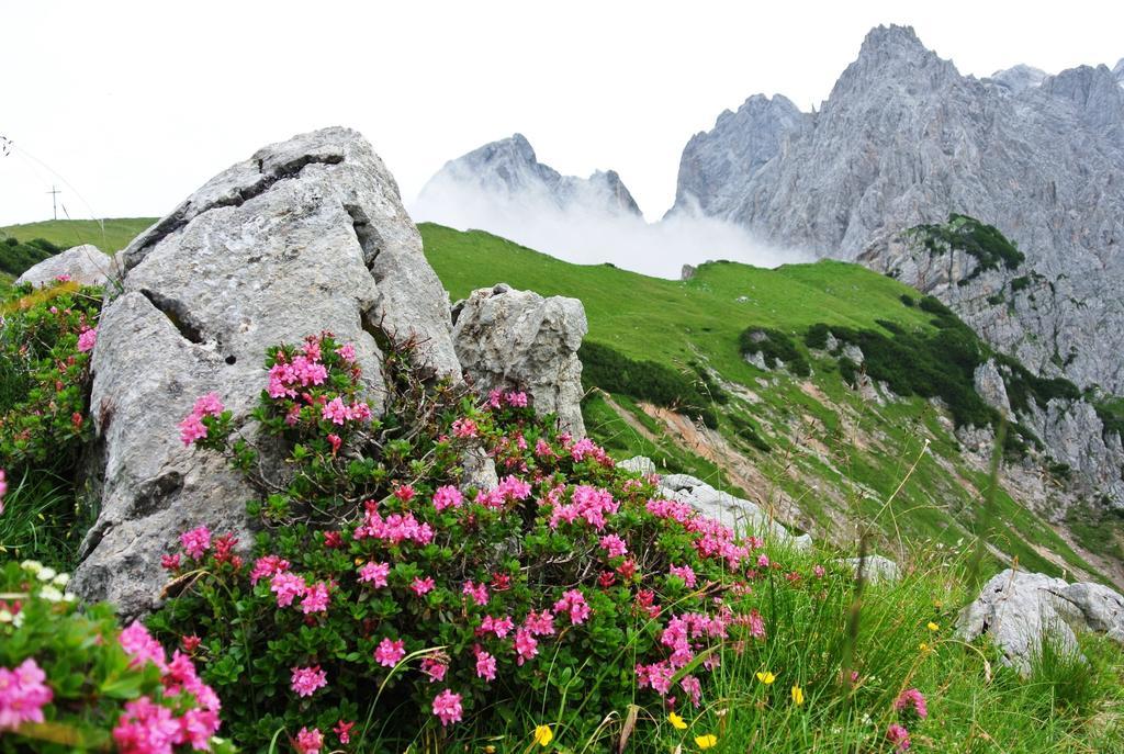 Pension Bergpracht Ramsau am Dachstein Luaran gambar