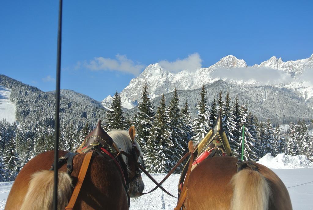Pension Bergpracht Ramsau am Dachstein Luaran gambar