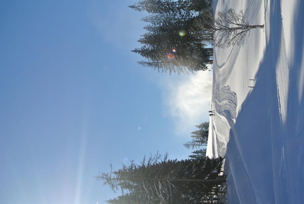 Pension Bergpracht Ramsau am Dachstein Luaran gambar